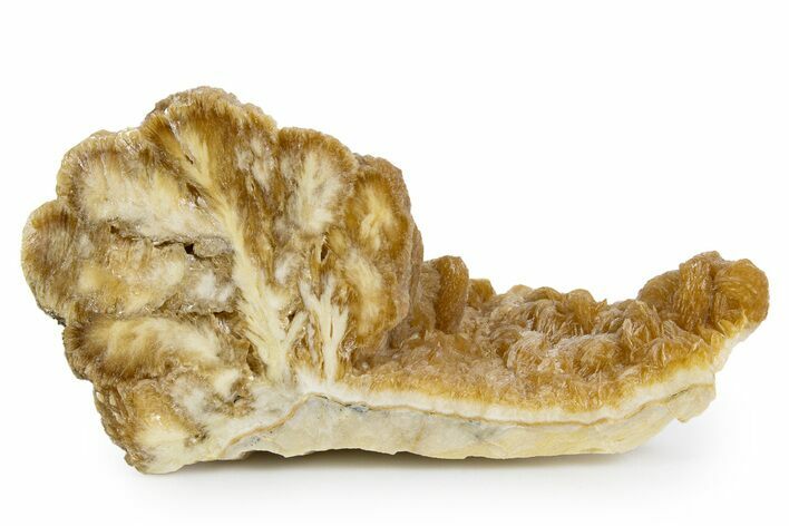 Polished Barite With Pyrite - Lubin Mine, Poland #346196